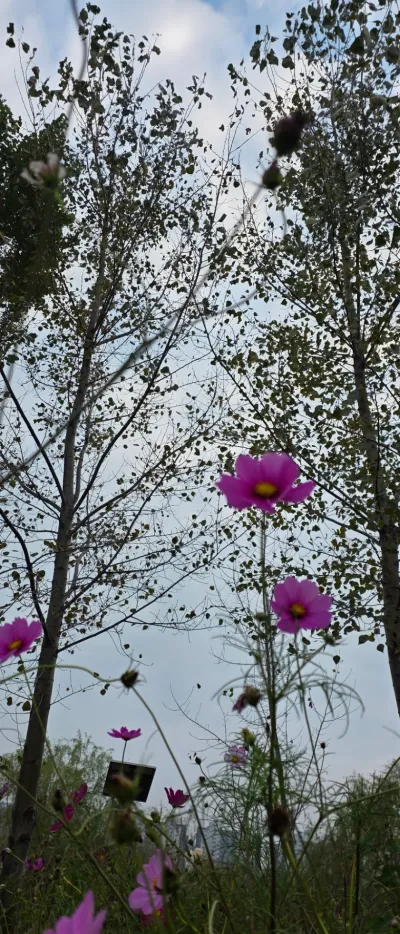 상담 챗봇, 첫 상담부터 마무리까지 꼼꼼하게
