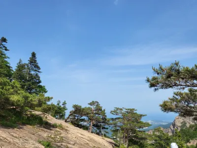 테마·애견 카페, 합리적인 가격에 완성도까지 챙겨드려요