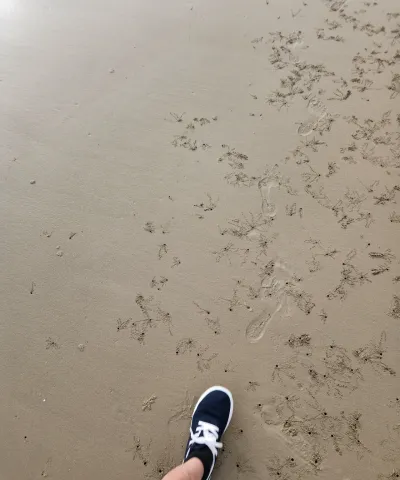 실무에서 검증된 생활용품 리뷰 노하우를 담았습니다