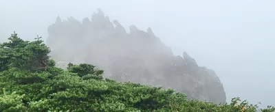 실무에서 검증된 전문 분야 원고 노하우를 담았습니다