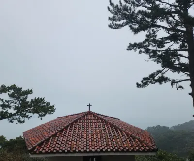 감각적인 셀프 인테리어 코칭 — 만족하실 때까지 함께합니다