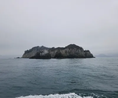 정리수납, 첫 상담부터 마무리까지 꼼꼼하게