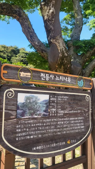 실무에서 검증된 홍보 문구·헤드라인 노하우를 담았습니다