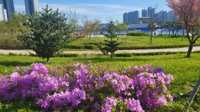 외국계·영어 면접, 합리적인 가격에 완성도까지 챙겨드려요