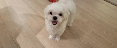 아기 사진·성장앨범 전문가가 직접, 퀄리티로 증명합니다