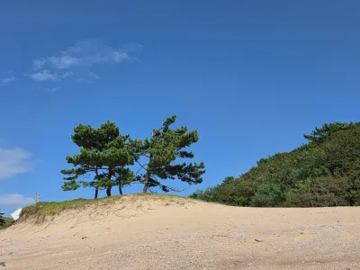 4년 경력의 부가세·종소세 신고, 믿고 맡겨주세요