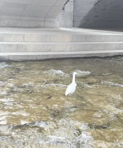 감각적인 모의면접 — 만족하실 때까지 함께합니다