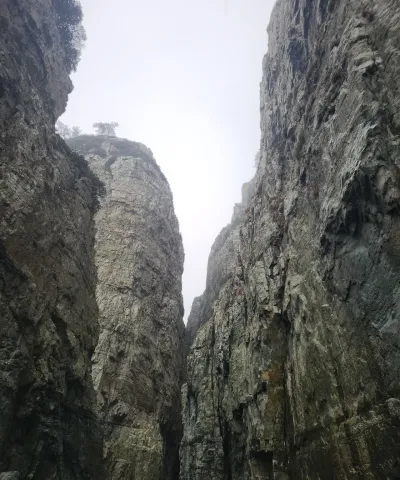 실무에서 검증된 유튜브 쇼츠 노하우를 담았습니다