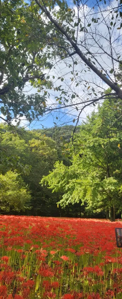 절세 컨설팅, 첫 상담부터 마무리까지 꼼꼼하게