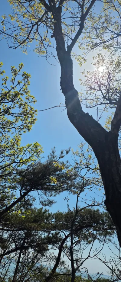 브랜드 가치를 높이는 기획·카피 포함형 작업