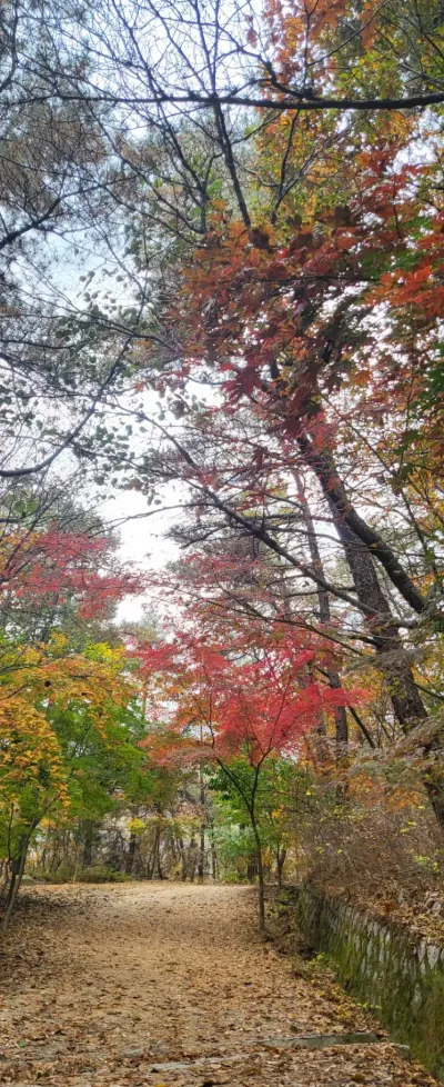 셀프 인테리어 코칭, 첫 상담부터 마무리까지 꼼꼼하게