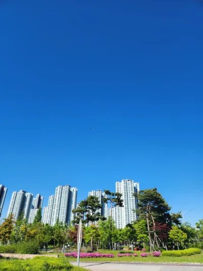 브랜드 가치를 높이는 블로그 개설·세팅 작업