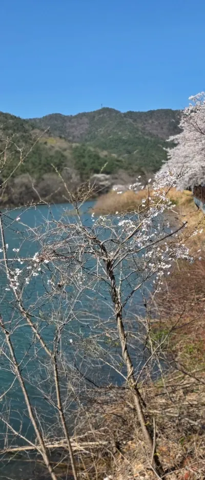 실무에서 검증된 블로그 개설·세팅 노하우를 담았습니다