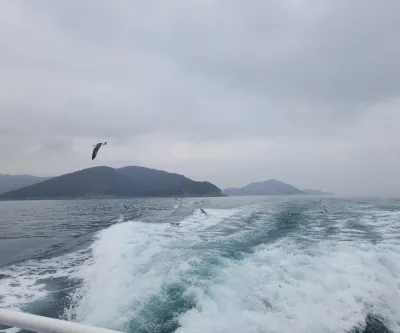 쇼핑몰 리뉴얼 전문가가 직접, 퀄리티로 증명합니다