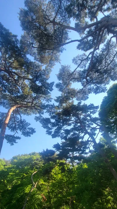 실무에서 검증된 도자기·공예 노하우를 담았습니다