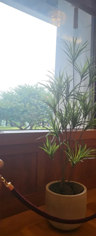 결과로 말하는 인스타 릴스 서비스