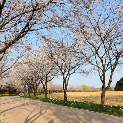 지금 시작하는 팝업스토어 — 부담 없이 문의하세요