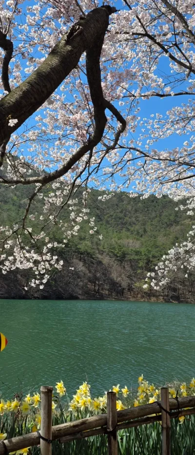 7년 경력의 작곡·미디, 믿고 맡겨주세요