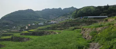빠른 소통·빠른 작업, 영문 이력서 도와드립니다