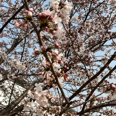 지금 시작하는 검색·디스플레이 광고 — 부담 없이 문의하세요