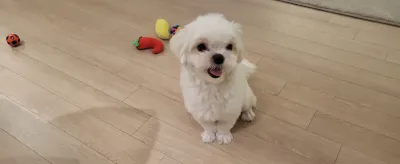 데이트·특별한 날, 합리적인 가격에 완성도까지 챙겨드려요