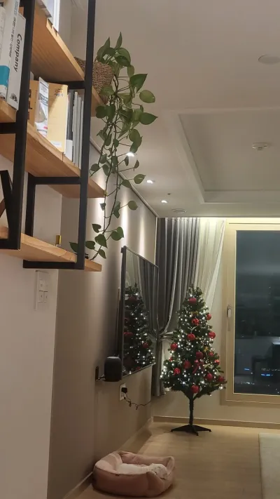 컷편집 전문가가 직접, 퀄리티로 증명합니다