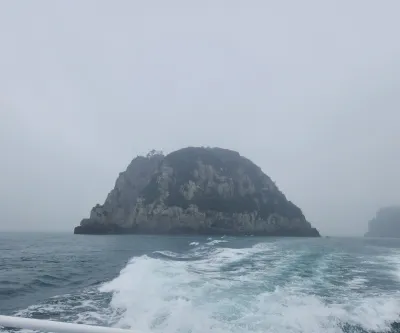 결과로 말하는 심볼·엠블럼 로고 서비스