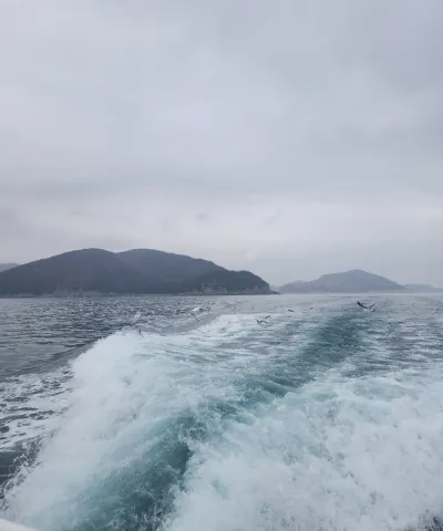 중국어 번역 전문가가 직접, 퀄리티로 증명합니다