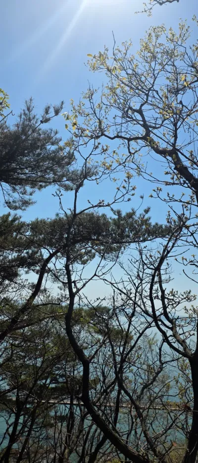 빠른 소통·빠른 작업, 전문 분야 원고 도와드립니다